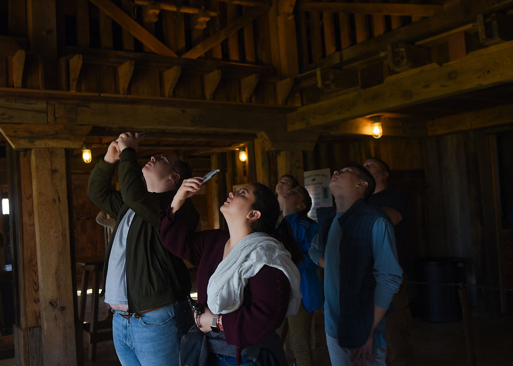 Visitors watch the "gumball coaster"